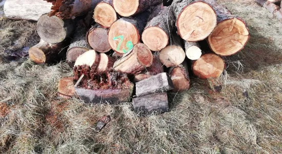 d04ecc404a7510e53328df3da23a789f