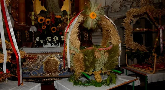  DSC514