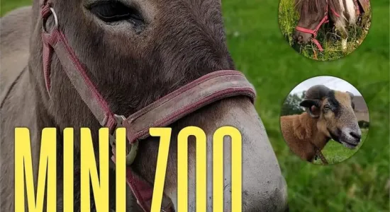 df625a15766964a3692787a97cedd962