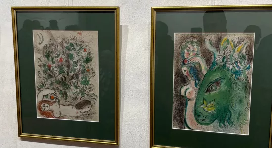 e08f5eea7bdcebc1efa3806a3e25a1bb