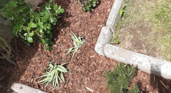 e1e57ddad18a5ebfe44db5df66ad99f7