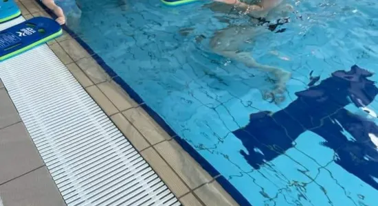 e26de90a456ac720177067bf81e5f6c2