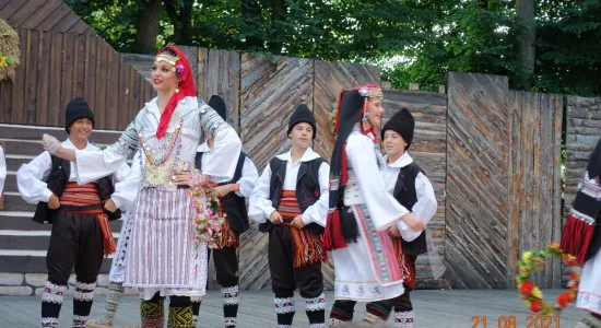 e45a8b0a6a703ae8c89ec84f5ab9b24b