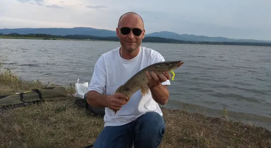 e7d0b159106fc1d55c14f958b0740a72