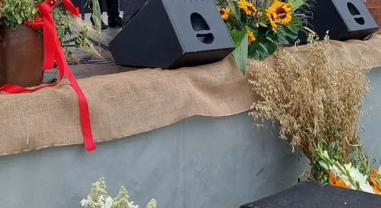 e936c6af1f9ce500ff9e71da5c43b774