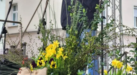 e95559f5fd267de006773a2b7005c702