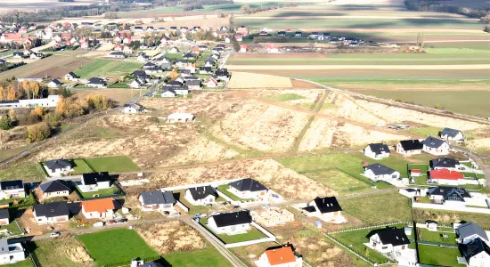 owocowe fotka zbiorcz