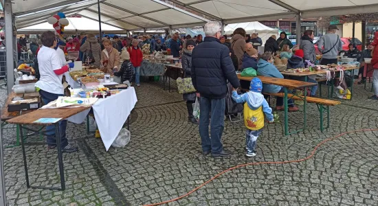 f0a30b8fad75fc08908e21ddc9b3564c