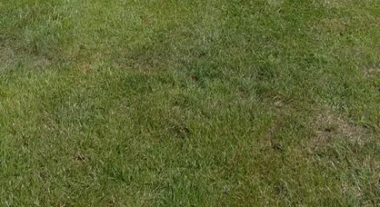 f0fbca219928a481b76bed8d209fb105