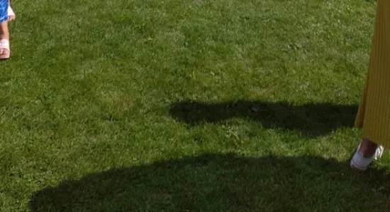 f2142d1b2693d444879f61f0f1d173a8