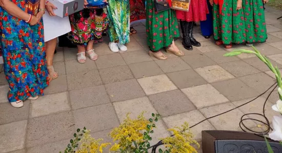 455601630 446597688366629 2038161588432463602 