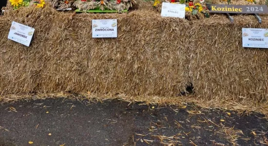 456707280 839248178344832 7794434459812873164 