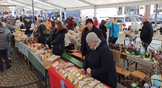 f59e8a95968740e91266122d7f1c7146