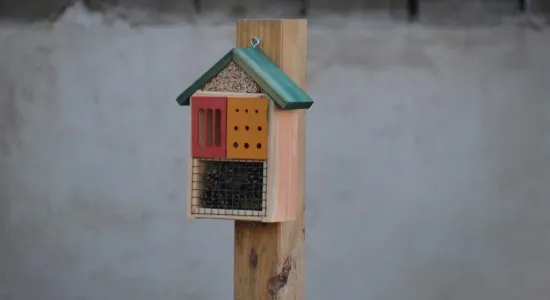  ul. Aliantów - domek dla owadów