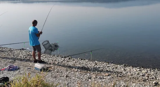 fb46806d04e6973d244b8bebfb0bb1ed