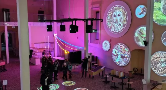 476764846 1148863620076033 6371311063150655742 