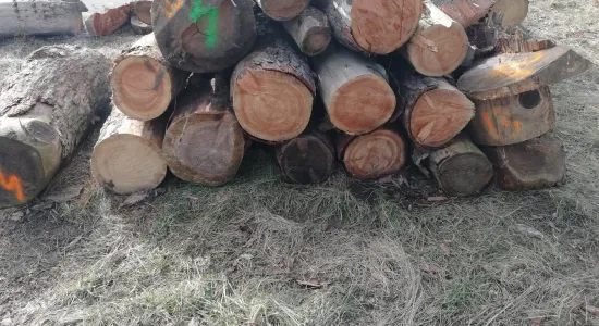 fe9c74c2fc6615ecc033b678d668ed8e