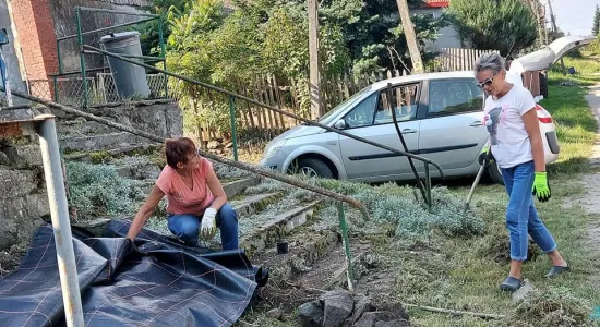 ff3f19060df9ee0499d3ea14b72279ec