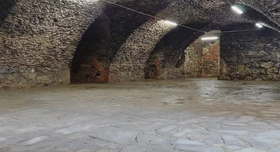 56742582 261562618082778 2926798244019175424 