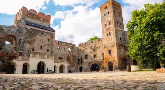 56742582 261562618082778 2926798244019175424 