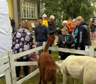 atrakcje dla dzieci podczas Dni i Nocy Krzywej Wieży 2025