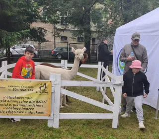 atrakcje dla dzieci podczas Dni i Nocy Krzywej Wieży 2025