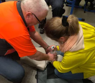 szkolenia pierwsza pomoc