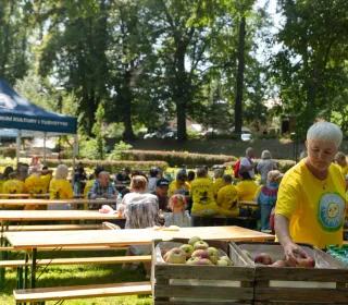 piknik integracyjny