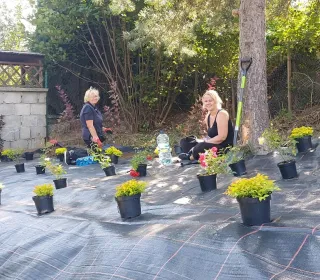 0350654d3d7afe00b8013b2afa94eab6