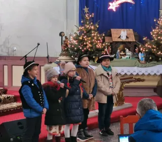 81776040 798495450617670 5483447144088076288 