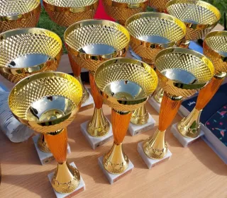 098acc336c6f9ed2ee1711d36ff33990