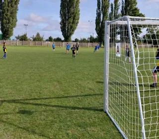 0e07913dc232e99da7e2a16546671a33