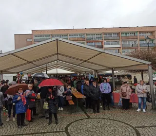 103e5e07cc57ff090efb583d6e2e9356