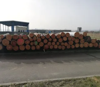 121830a72a0832bb48cc1153cf430fc0