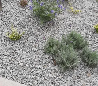 13773e3256b4d17aa0deb58e1f2d511e