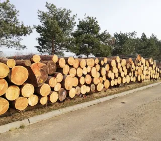 15211c2786683ab17b7b94c6c32df642