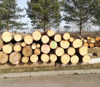 156871bb815eeb776830599ae451336d