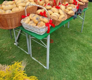 1b54eed4e42b9a6b9771b07b36dd7b6c