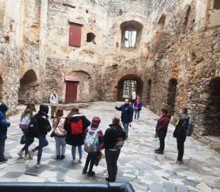 1c84ec3df2395b3bb23801255a84666b