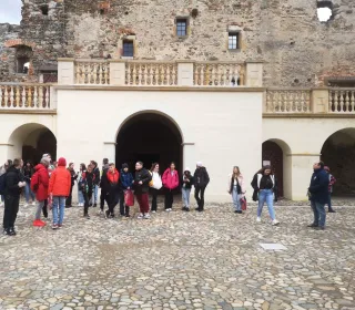 1e88ce43c492691f48b6983bbaf25ce9