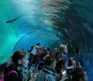 jelenia Góra Bramy Czasu (002