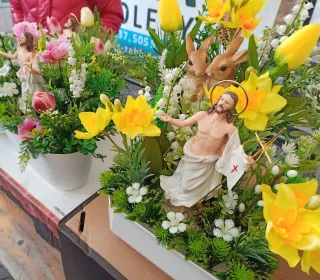 2a4c7b64dc1ab25cea8b1ed1b0eaade9