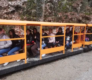 2e00c34cf29f138aed101014da647fae