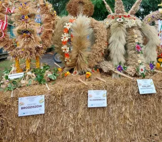 455607857 833109975575758 4020416480177409250 