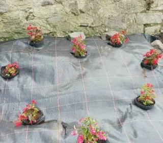 30aa9570d74d6f26adc0e197666a6ca4