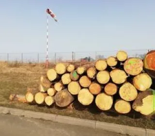 3706b8e77fc69ba722fe77c4a4d4c9d4