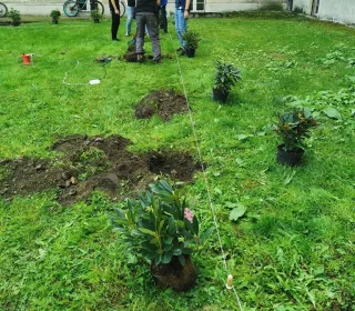 386425556ecc401dc3d8b8a64a5cb20b