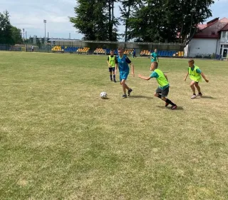 3c36fd7efc03db8bf935283bb142f823