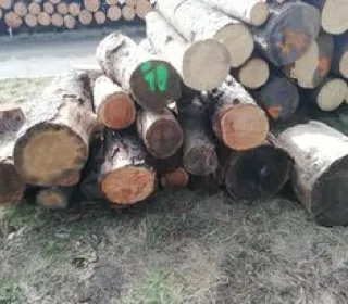 3cf48ac2c9f50508116ec996b3a1e658