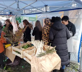 442e56ef36561f84acf41cf75aab1918